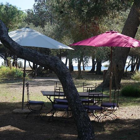 Joli Mas Au Bord De L'Etang De Thau Marseillan (Herault) Exterior foto