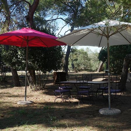 Joli Mas Au Bord De L'Etang De Thau Marseillan (Herault) Exterior foto