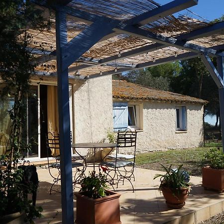 Joli Mas Au Bord De L'Etang De Thau Marseillan (Herault) Exterior foto
