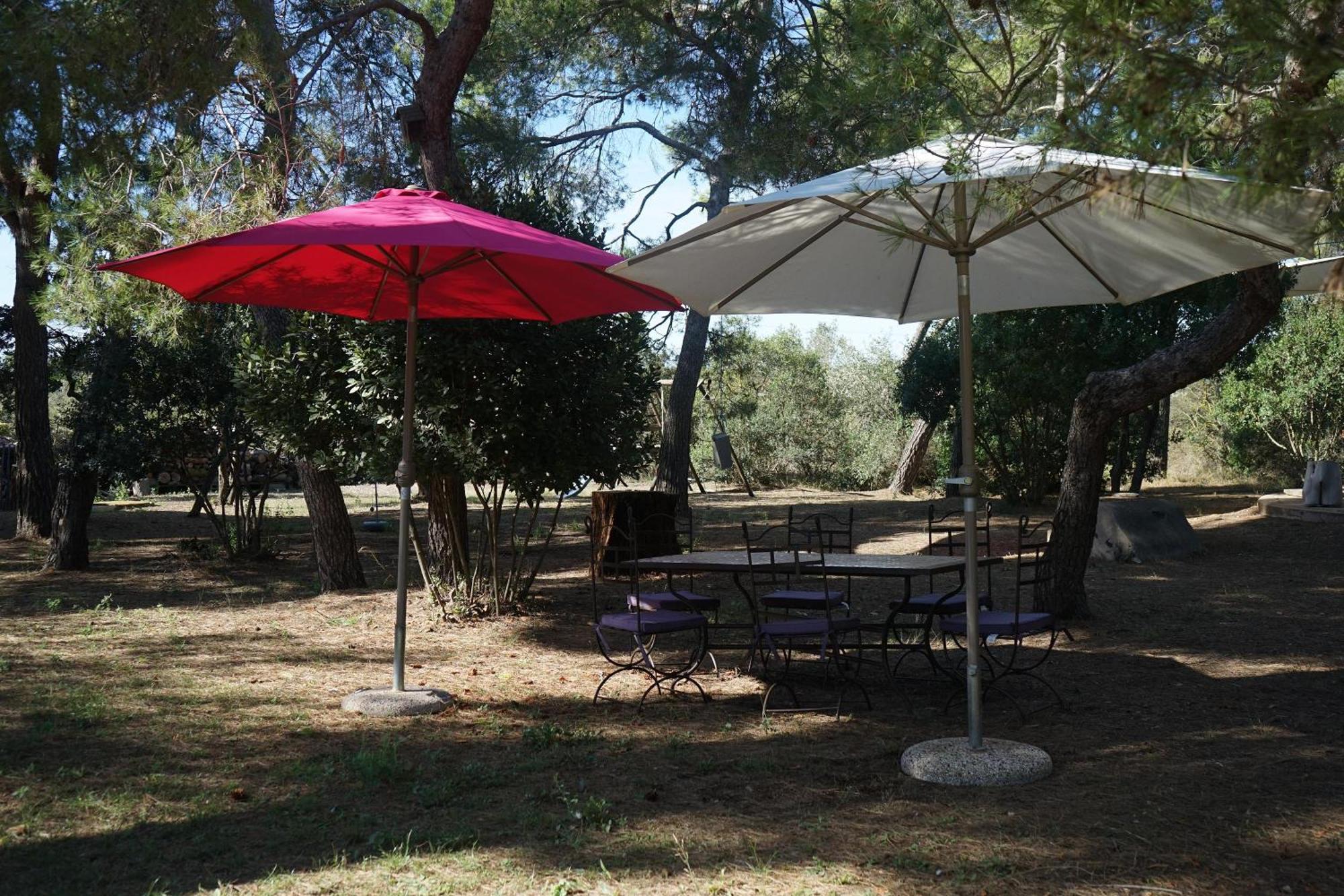 Joli Mas Au Bord De L'Etang De Thau Marseillan (Herault) Exterior foto