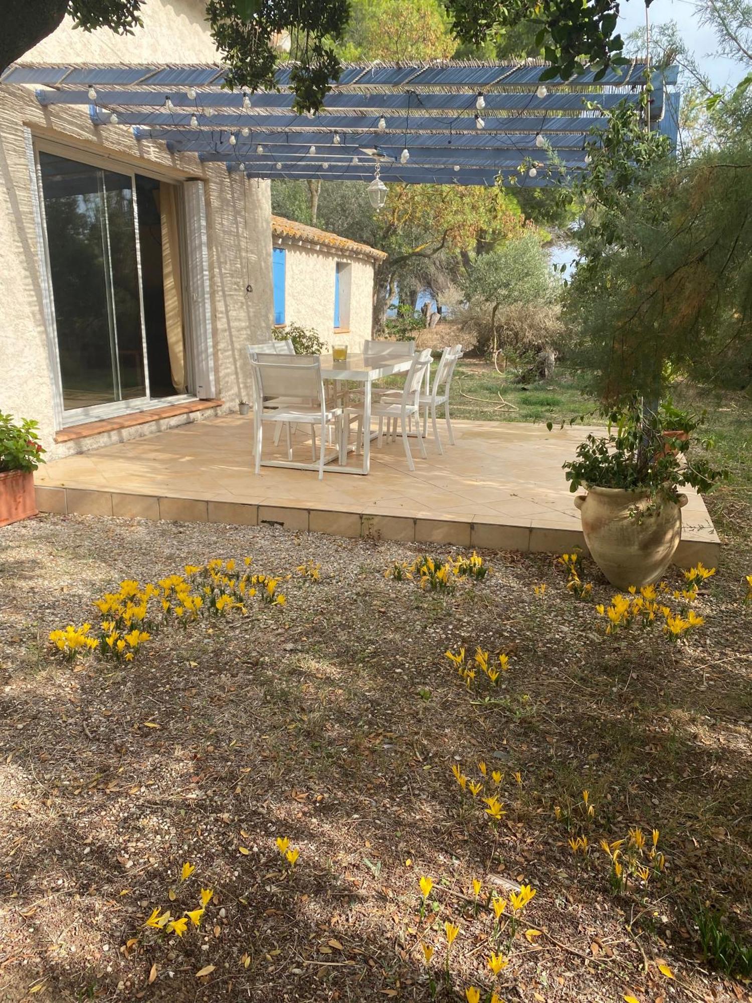 Joli Mas Au Bord De L'Etang De Thau Marseillan (Herault) Exterior foto